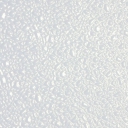 Polyester panelen, hygiënisch, HACCP-conform en gemakkelijk schoon te maken