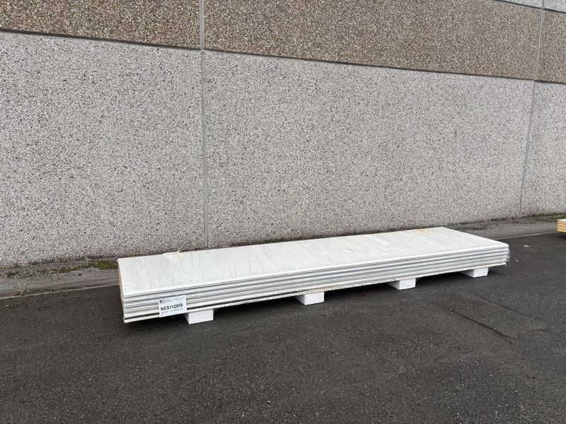 Sandwichpanelen 40 mm 6 lengtes 4000 mm (NCS112859)
