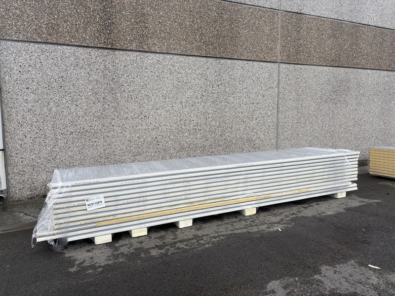 Sandwichpanelen 60 mm 12 lengtes 5000 mm (NCS112870)