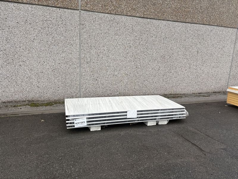 Sandwichpanelen 60 mm 4 lengtes 2500 mm (NCS112879)